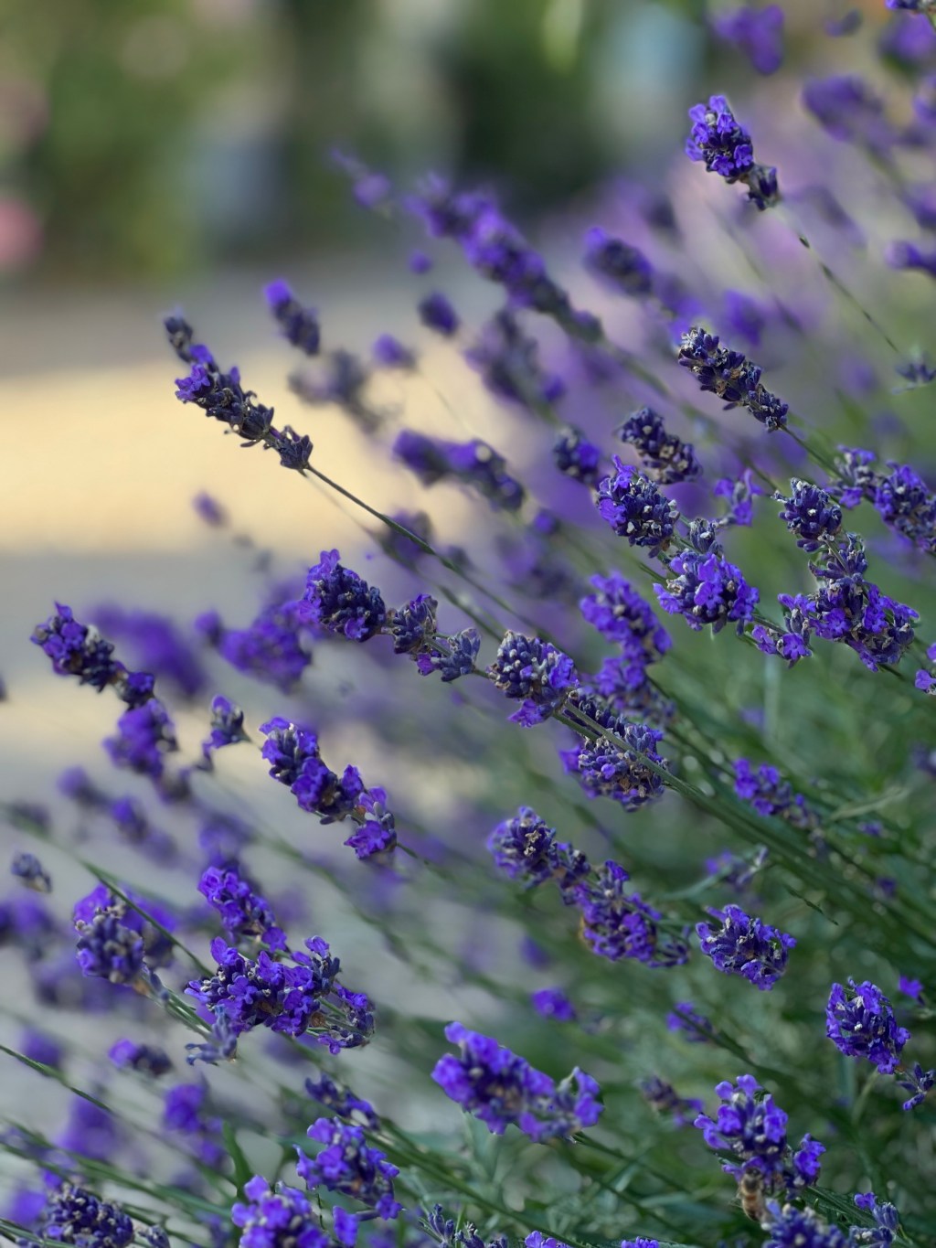 Scotland 2023 – Day&nbsp;1