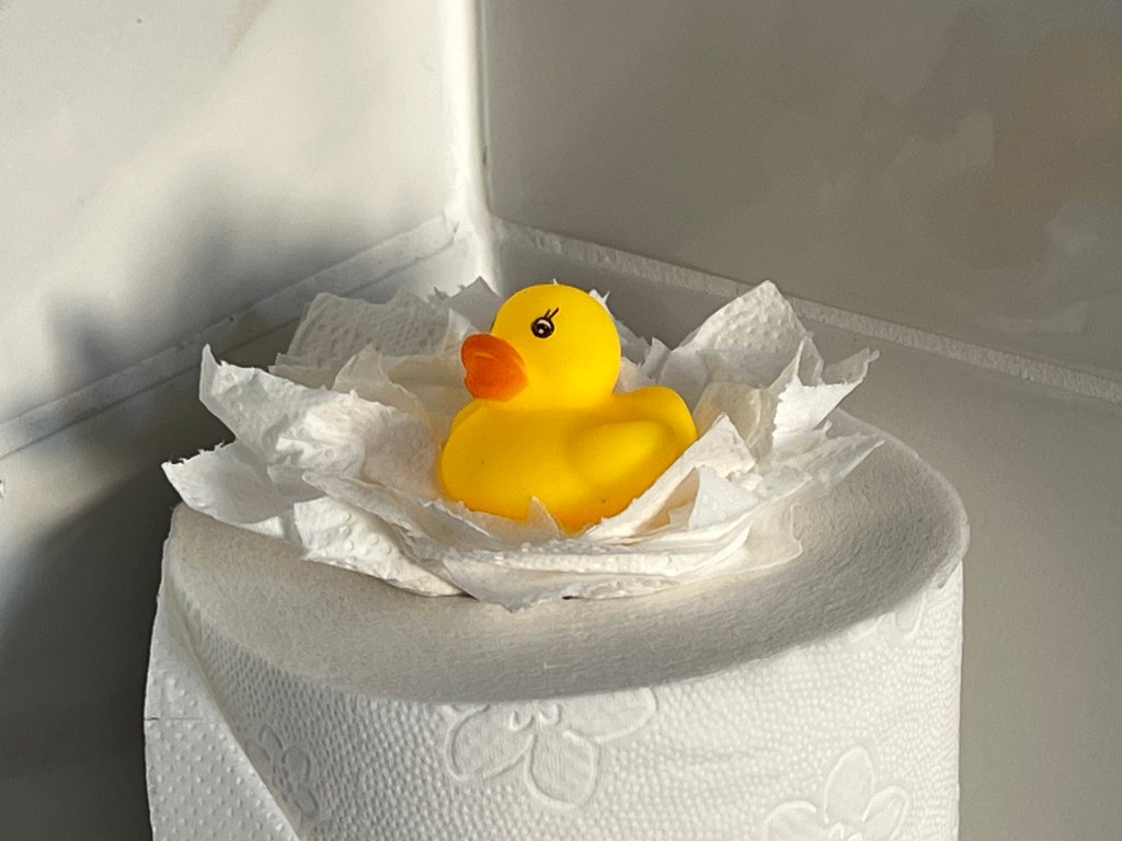 Ireland 2024 – Day&nbsp;5