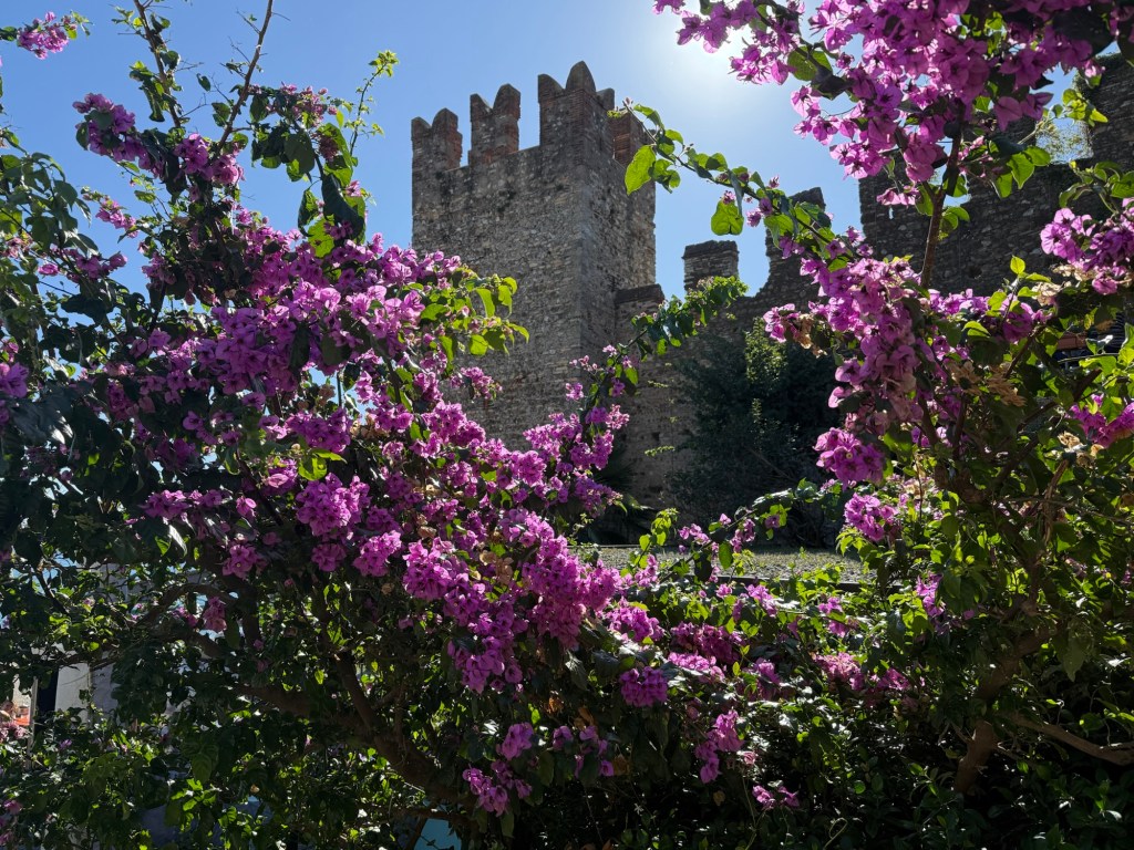 Mille Miglia Tributo 2025 – Day&nbsp;13